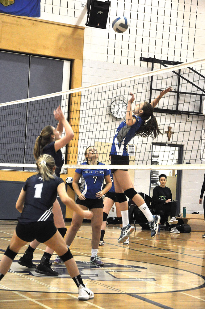 Hawks volleyball preparing for zones | Strathmore Times