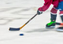 Successful season for local minor hockey clubs