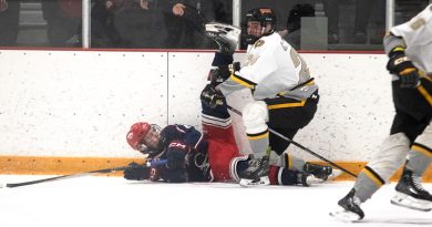 Kings playoff run ends with Game 4 defeat in Cochrane