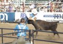 Running with the Bulls crowns two new champions Running with the Bulls crowns two new champions